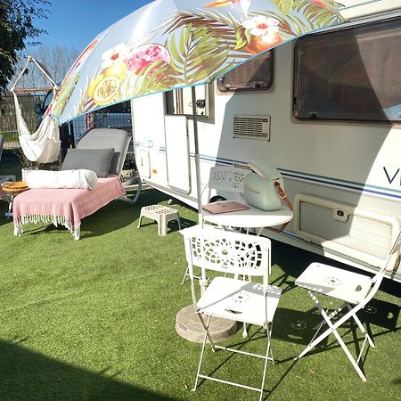 Gardencaravan Near Ghent In Green Area Extérieur photo