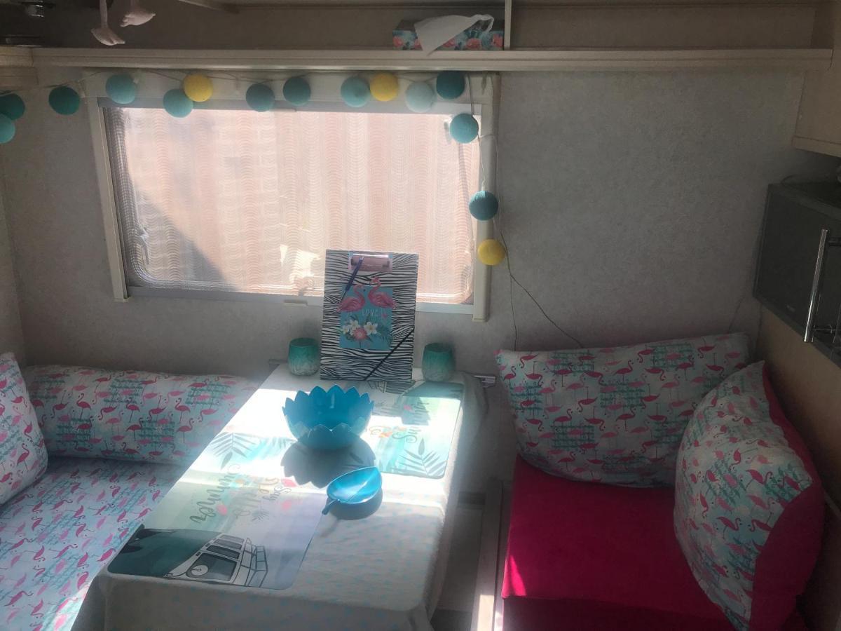 Gardencaravan Near Ghent In Green Area Extérieur photo