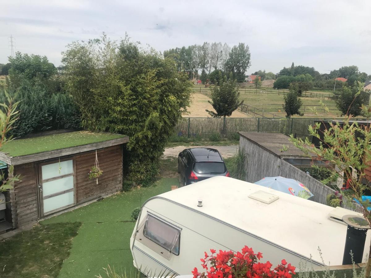 Gardencaravan Near Ghent In Green Area Extérieur photo